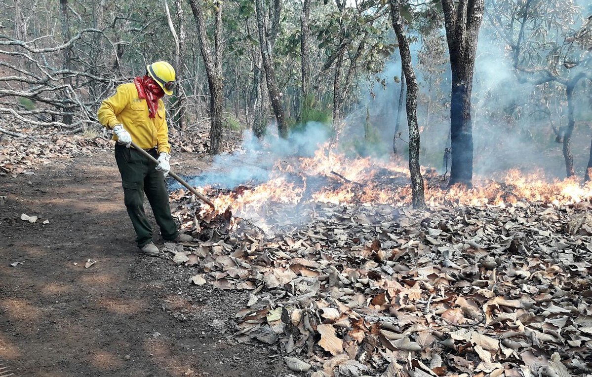 Continúa temporada de incendios forestales en Veracruz