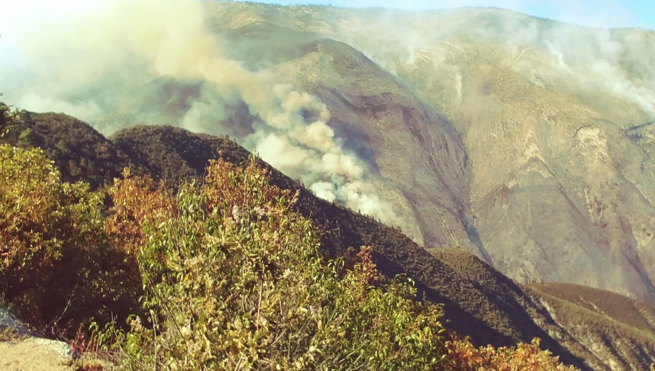 Reportan, Fuera de control, Incendio forestal, Coahuila, Medio Ambiente