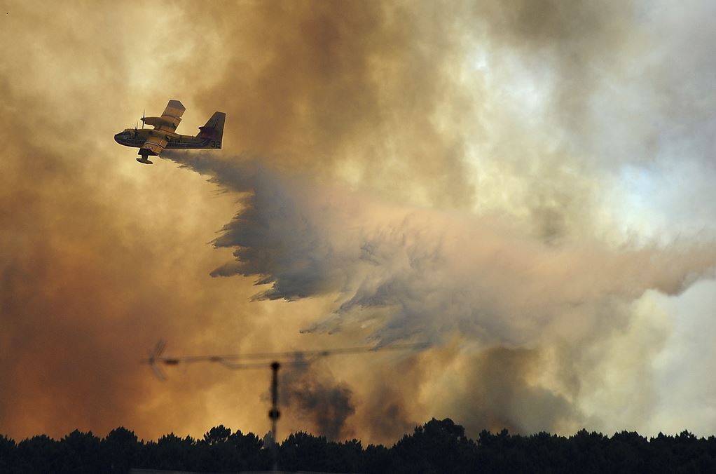 Portugal, incendio, forestal, bomberos, 64 muertos, heridos, Protección Civil