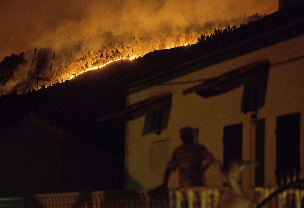 Muertos, Incendio, Forestal, Portugal, Heridos, Gobierno, Víctimas