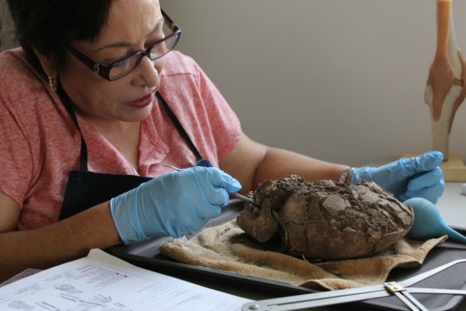 Antropólogos descubren momias de una mujer y un bebé en Sonora