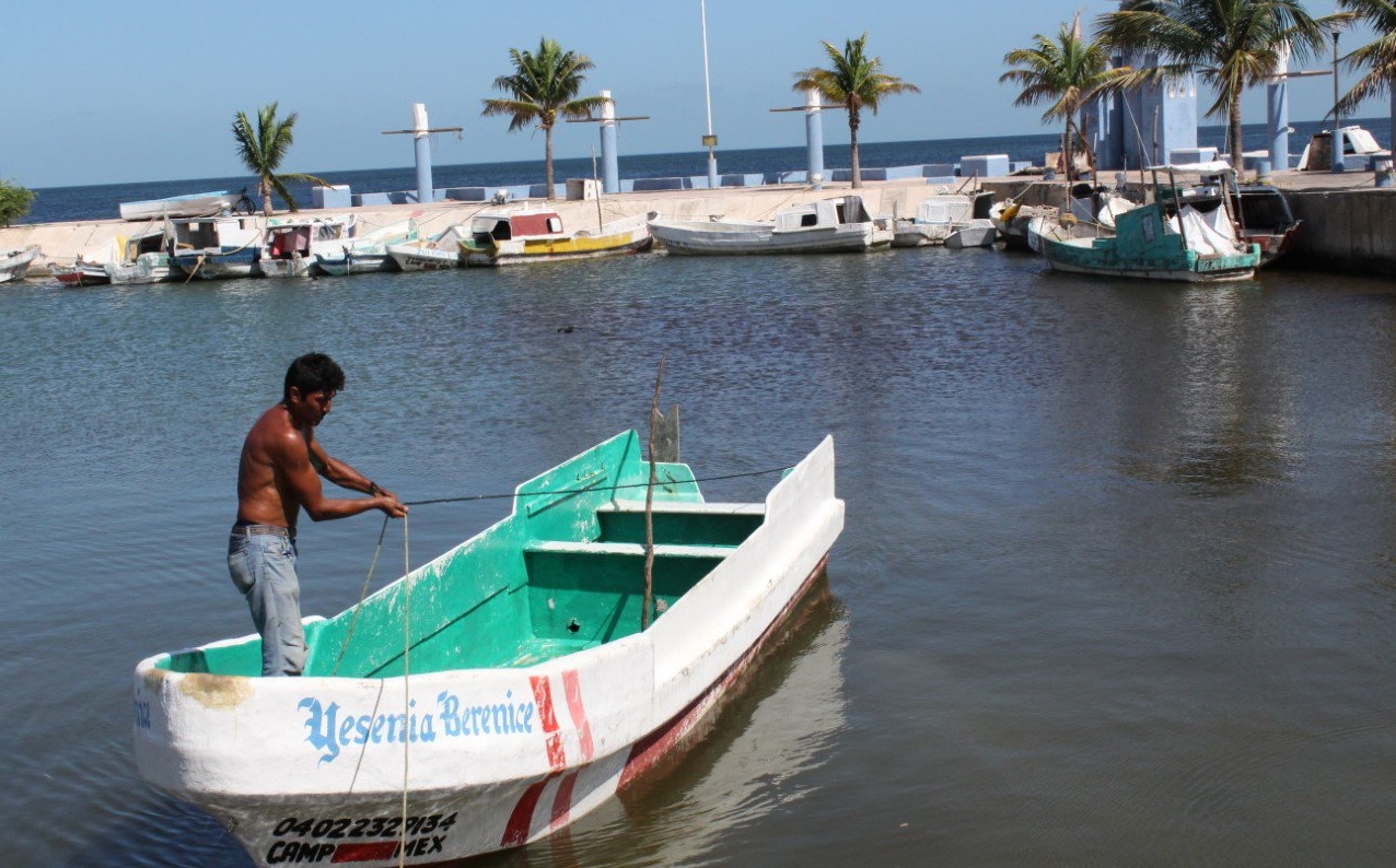 Verifican, Embarcaciones, Pesqueras, Campeche, Embarcaciones pesqueras, seguridad