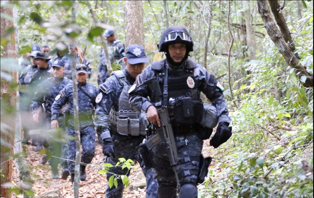 Policias federales ejecutan operativo ambiental