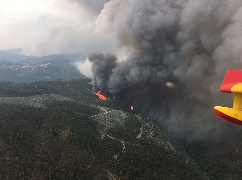 Vista aérea del incendio forestal en Portugal que se ve desde la cabina de un avión de combate español (Reuters)