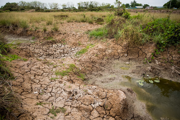 Sequía pone en riesgo cultivos en Cd. Juárez, Chihuahua