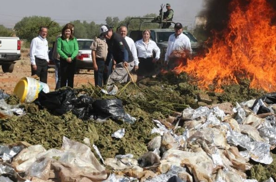 Incineran más de seis toneladas de marihuana en Zacatecas. (Facebook: AccesoZac)