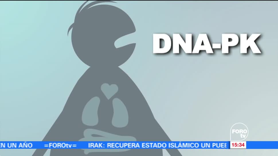 noticias, forotv, Enzima, relacionada, obesidad, Doctora Diane Pérez
