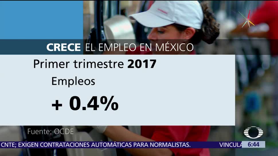 Organización, Cooperación, Desarrollo Económico, empleo en México, trimestre