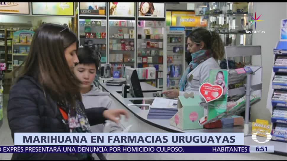 Uruguay, primer país latinoamericano, farmacias venden marihuana, 5 gramos