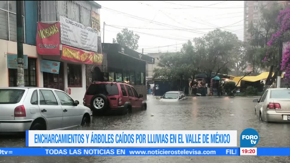 Lluvias Caida arboles Se registran Ciudad de Mexico Encharcamientos Avenidas principales