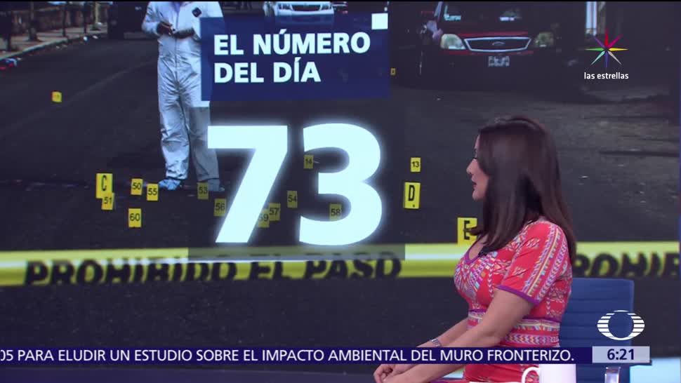 Número del día 73 Homicidios dolosos México