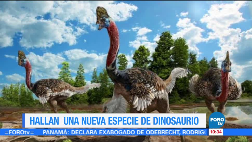 Extra Extra Hallan Nueva Especie Dinosaurio