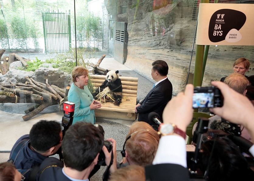 La canciller alemana Angela Merkel y el presidente chino Xi Jinping dan la bienvenida a los osos panda chinos Meng Meng y Jiao Qing en el Zoo de Berlín (Reuters)