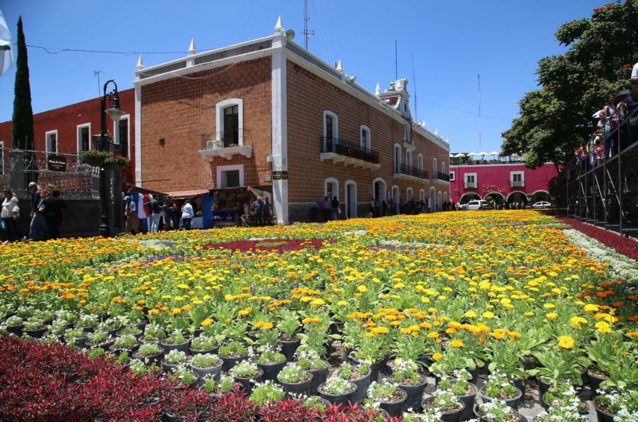Puebla Tapete Flores Monumental Atlixco Turismo