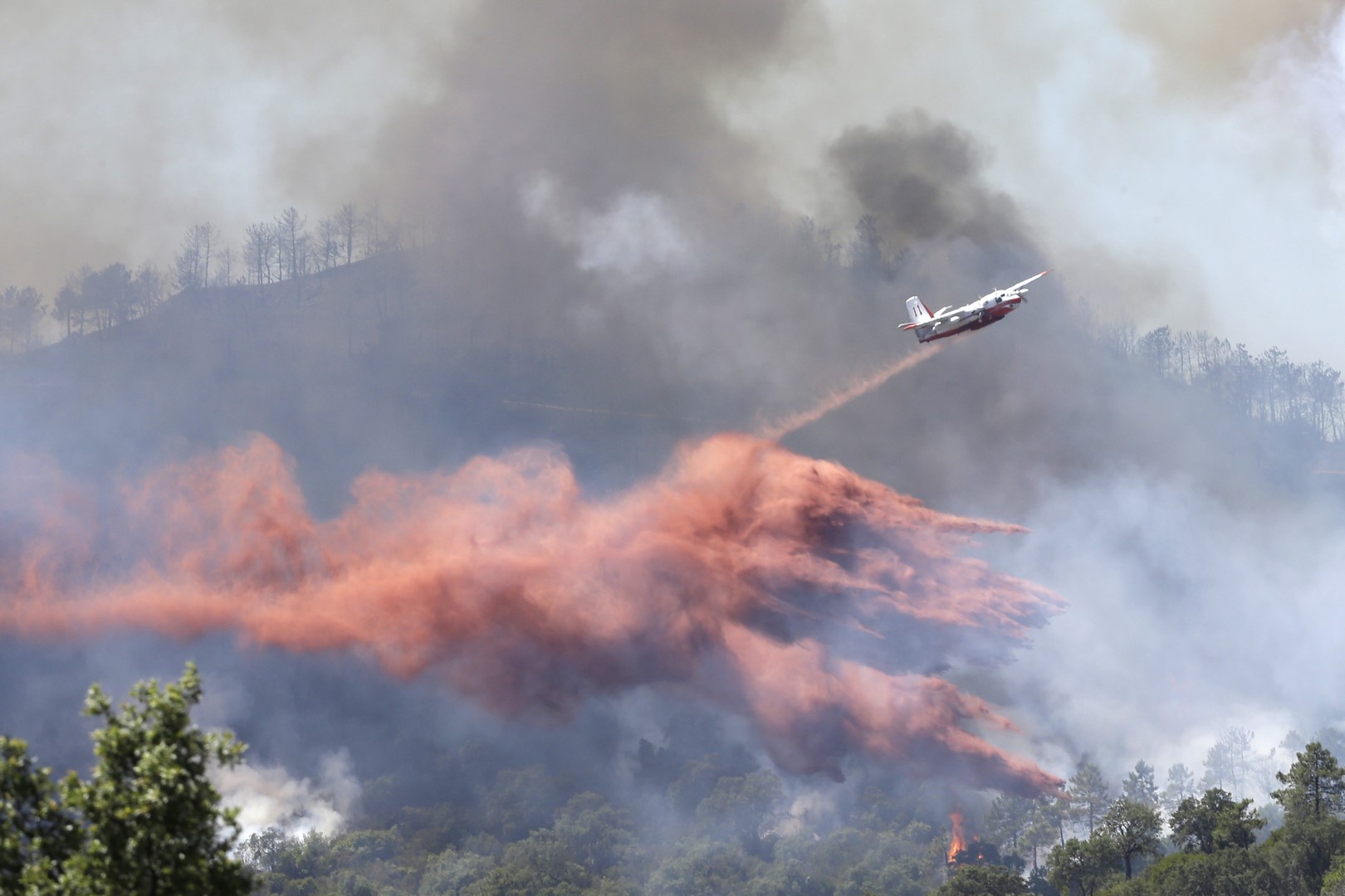 Avión de bomberos descarga retardante sobre incendio