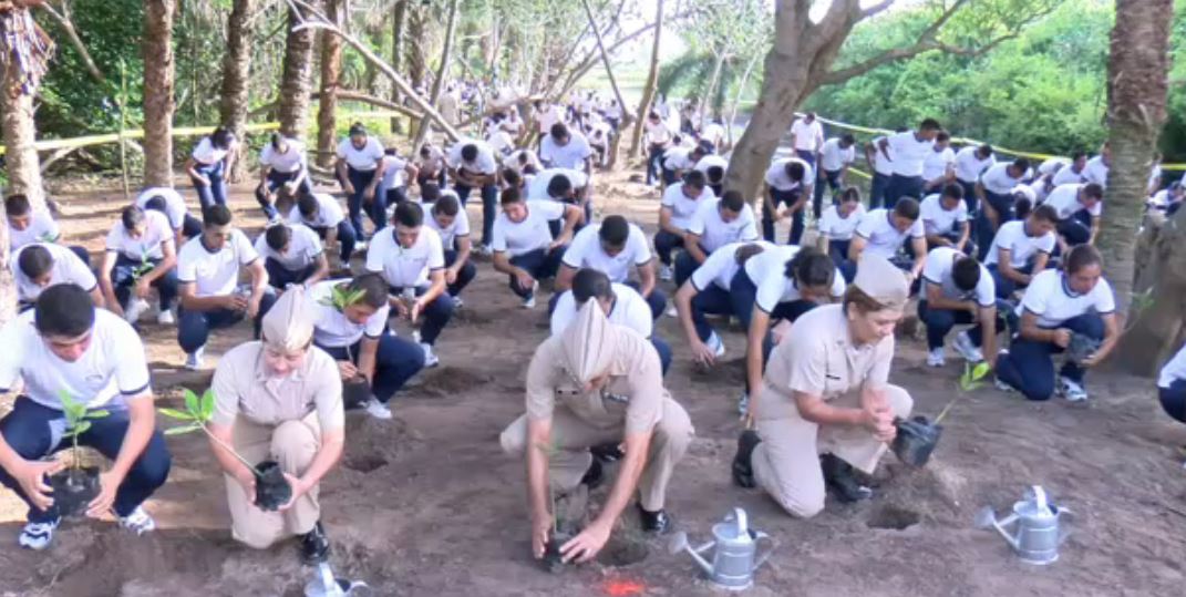 Cadetes de la Escuela Naval reforestan zona de mangle en Veracruz