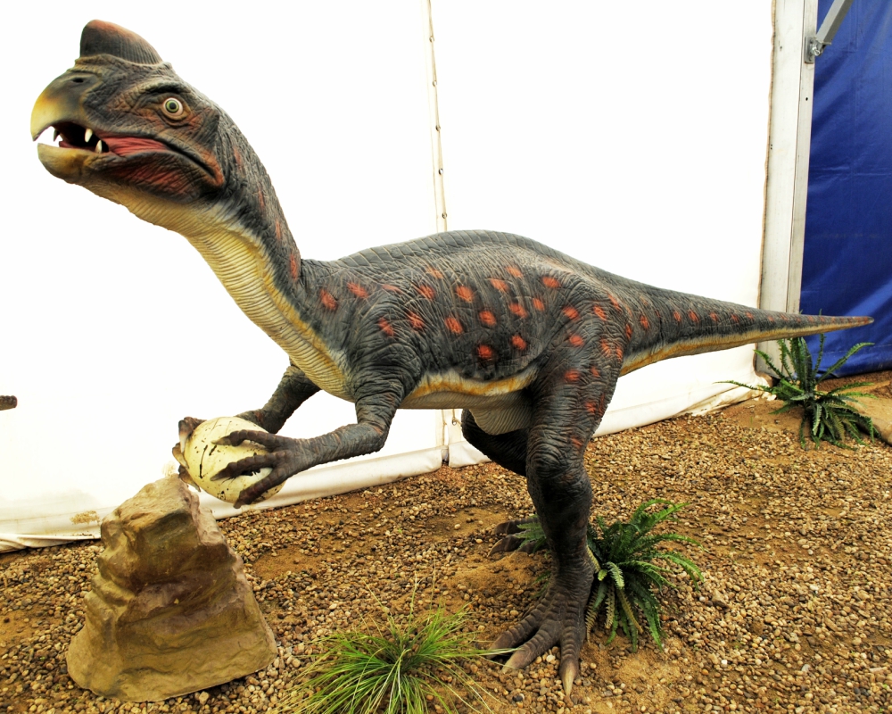 historia natural, dinosaurio, niño, museo, exposición, londres