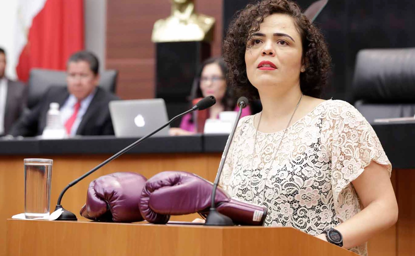 Mariana Gómez del Campo presenta iniciativa en el Senado. (PAN Senado)