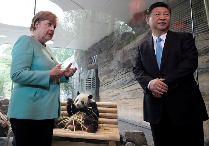 Jiao Qing, uno de los dos pandas gigantes chinos, es visto con la canciller alemana Angela Merkel y el presidente chino Xi Jinping (Reuters)