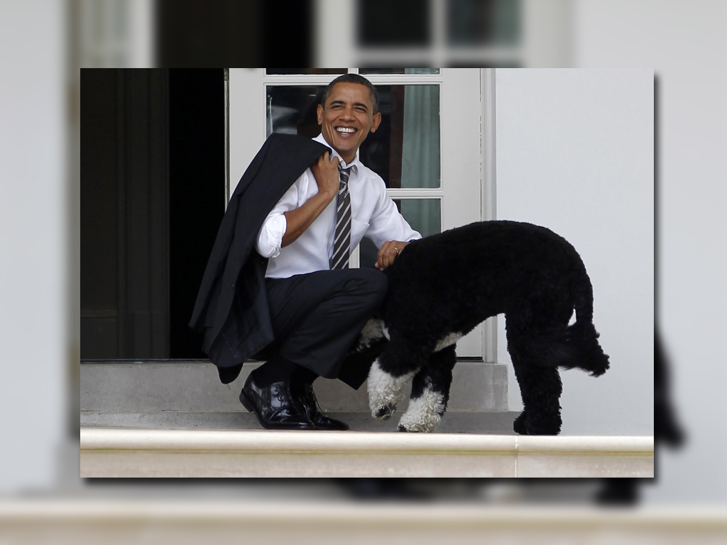 El expresidente Barack Obama acariciando a su perro
