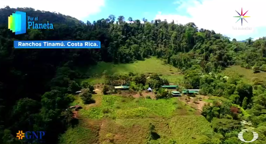 Ranchos Tinamú de Costa Rica, ejemplo de ecoturismo comunitario 