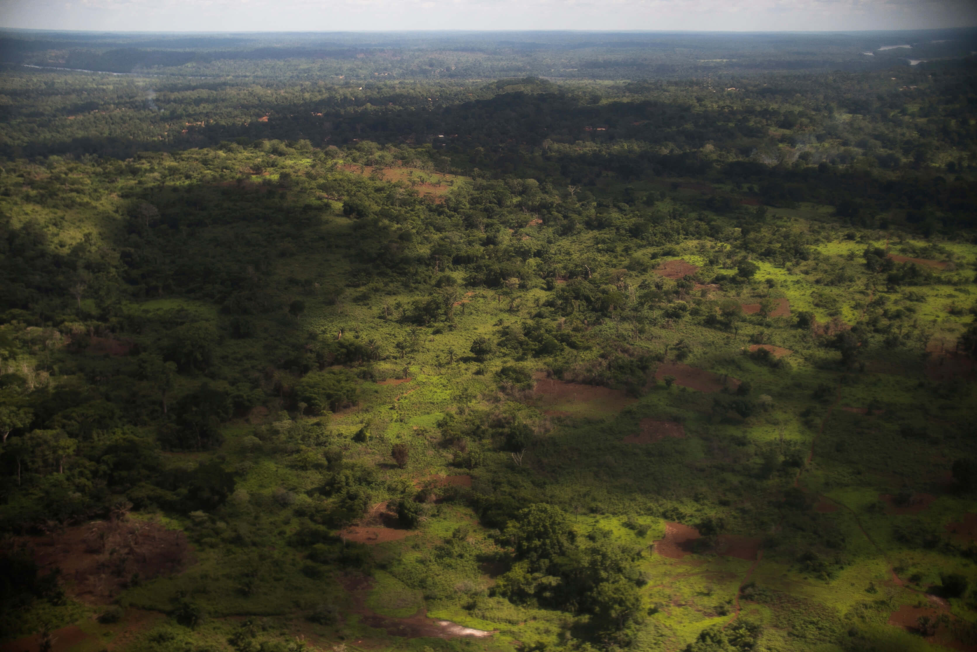 Vista aérea de la selva de la República Centroafricana