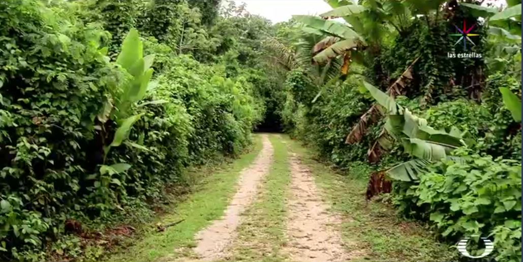 turismo en selva lacandona en chiapas