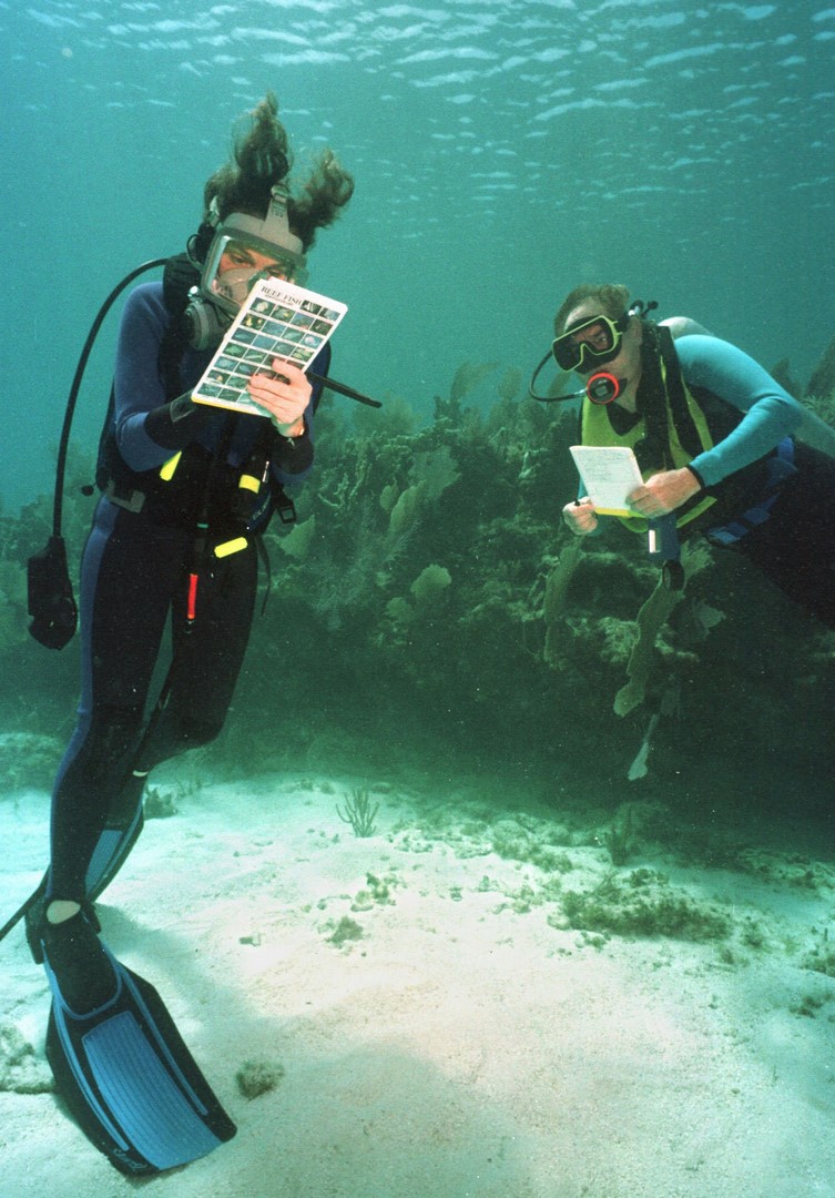 Sylvia Earle, una defensora incansable de la vida marina