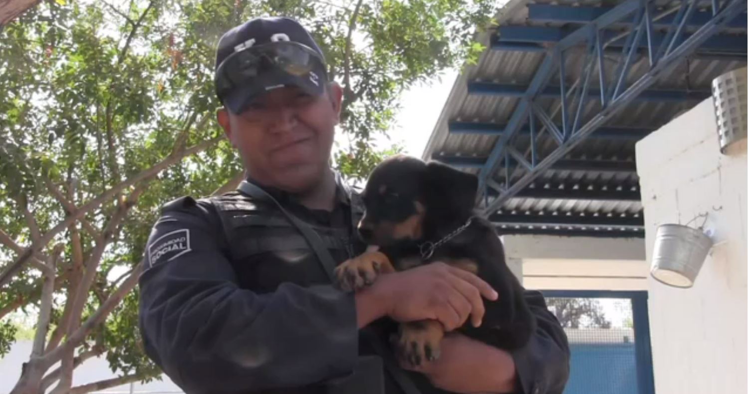 Policia municipal de aguascalientes carga un perro