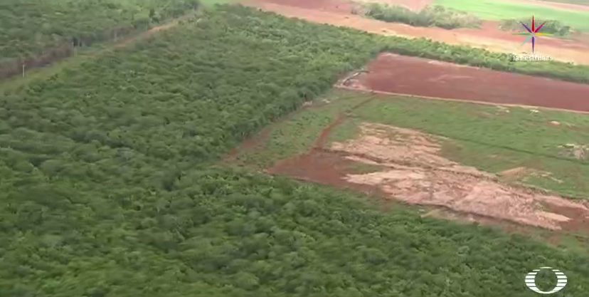 Vista aerea de zona deforestada en selva de Quintana Roo