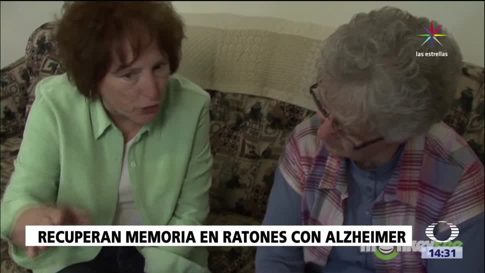 Científicos logran avances contra el Alzheimer