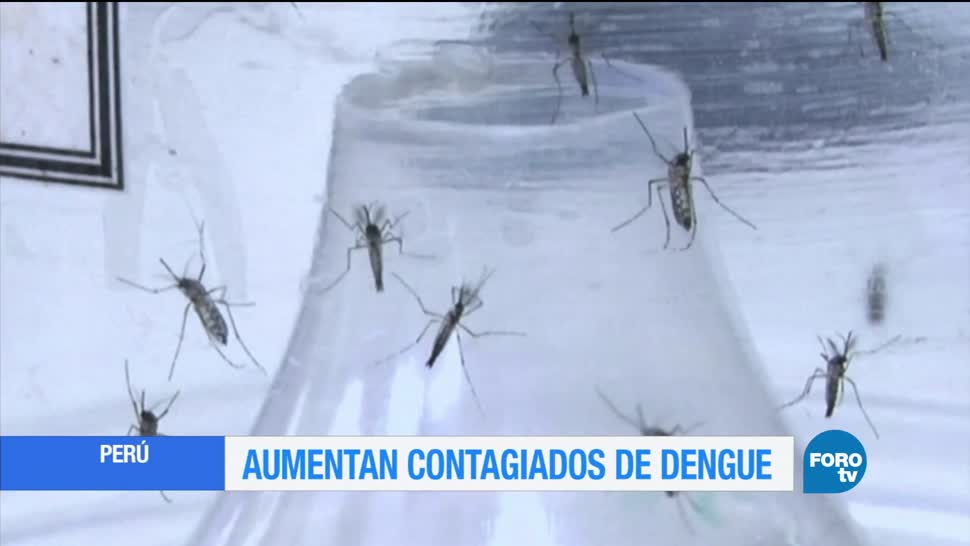 Aumentan afectaciones por dengue en Perú