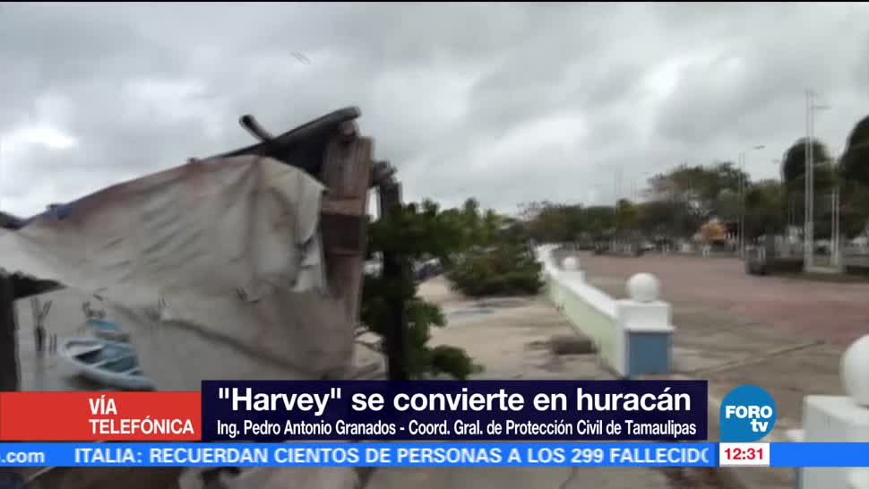 Tamaulipas, encuentra, alerta, huracán
