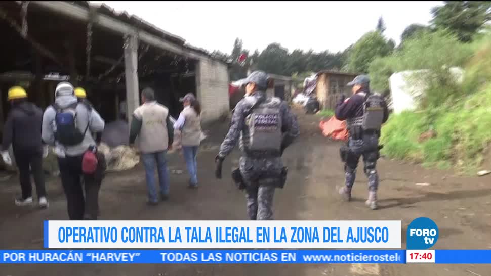 detenidos operativo contra tala ilegal Ajusco