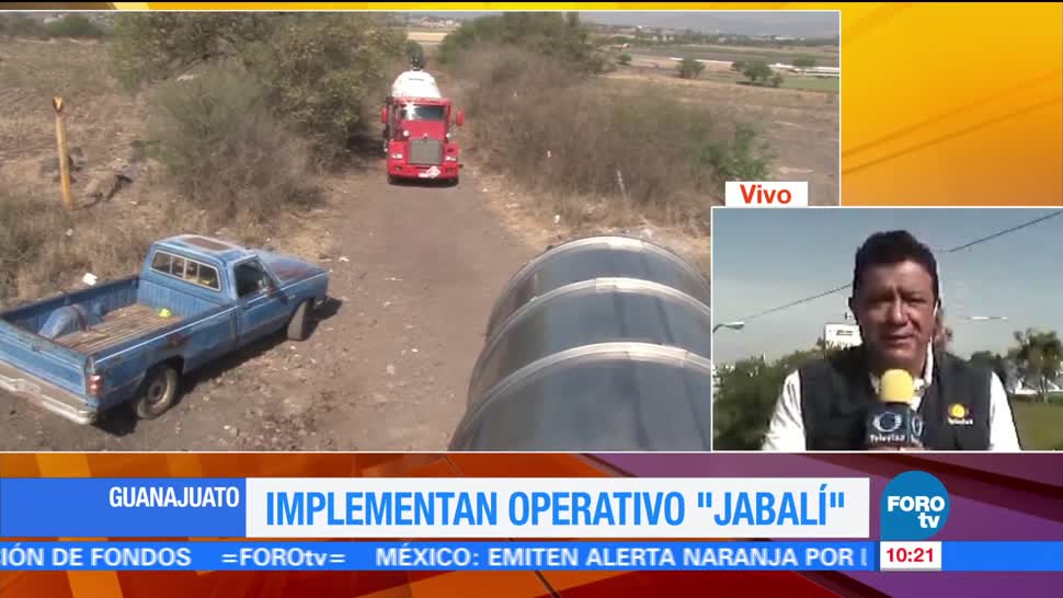 Implementan, operativo, Jabalí, Guanajuato