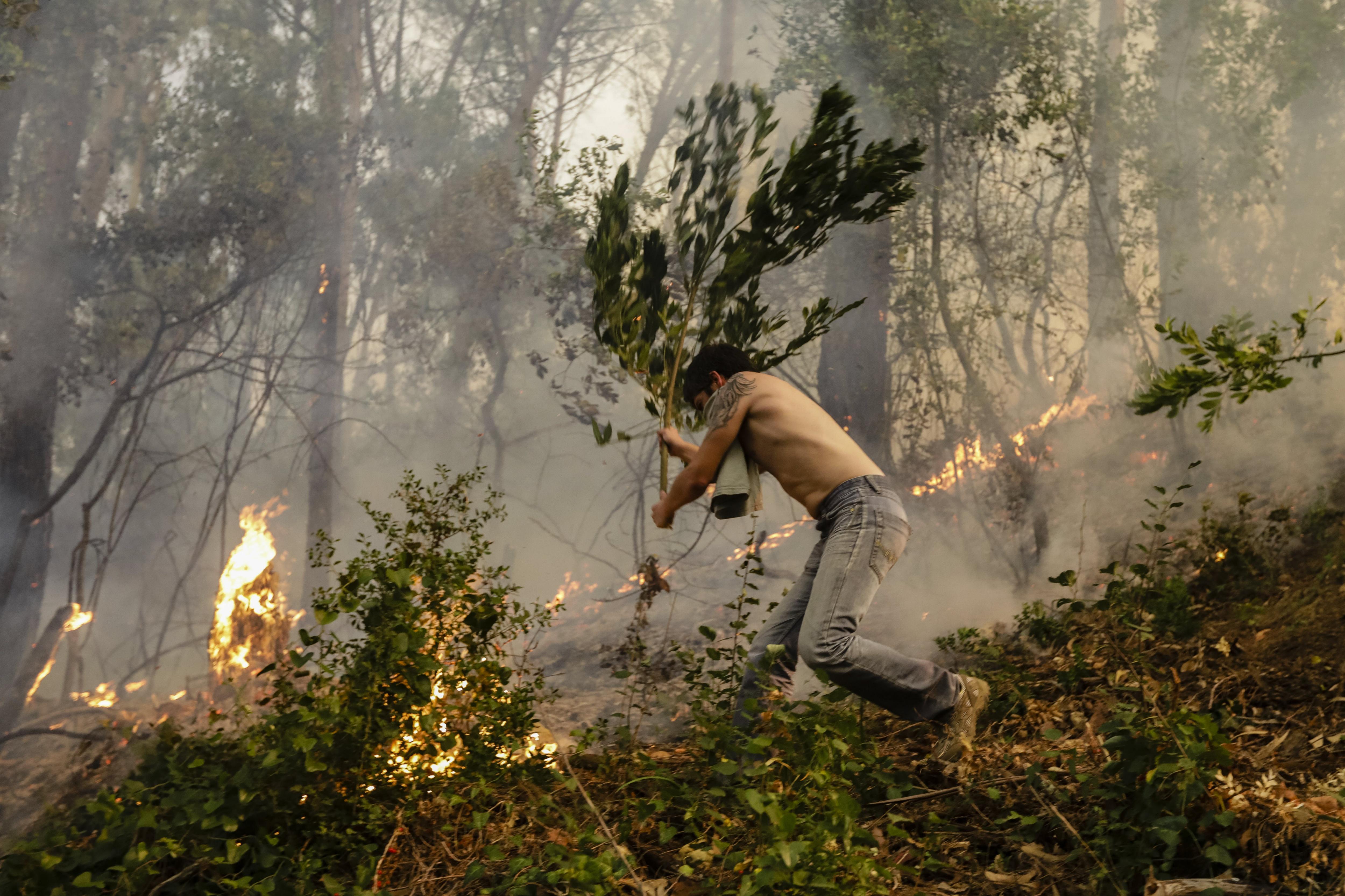 Portugal pide ayuda a Europa para combatir incendios