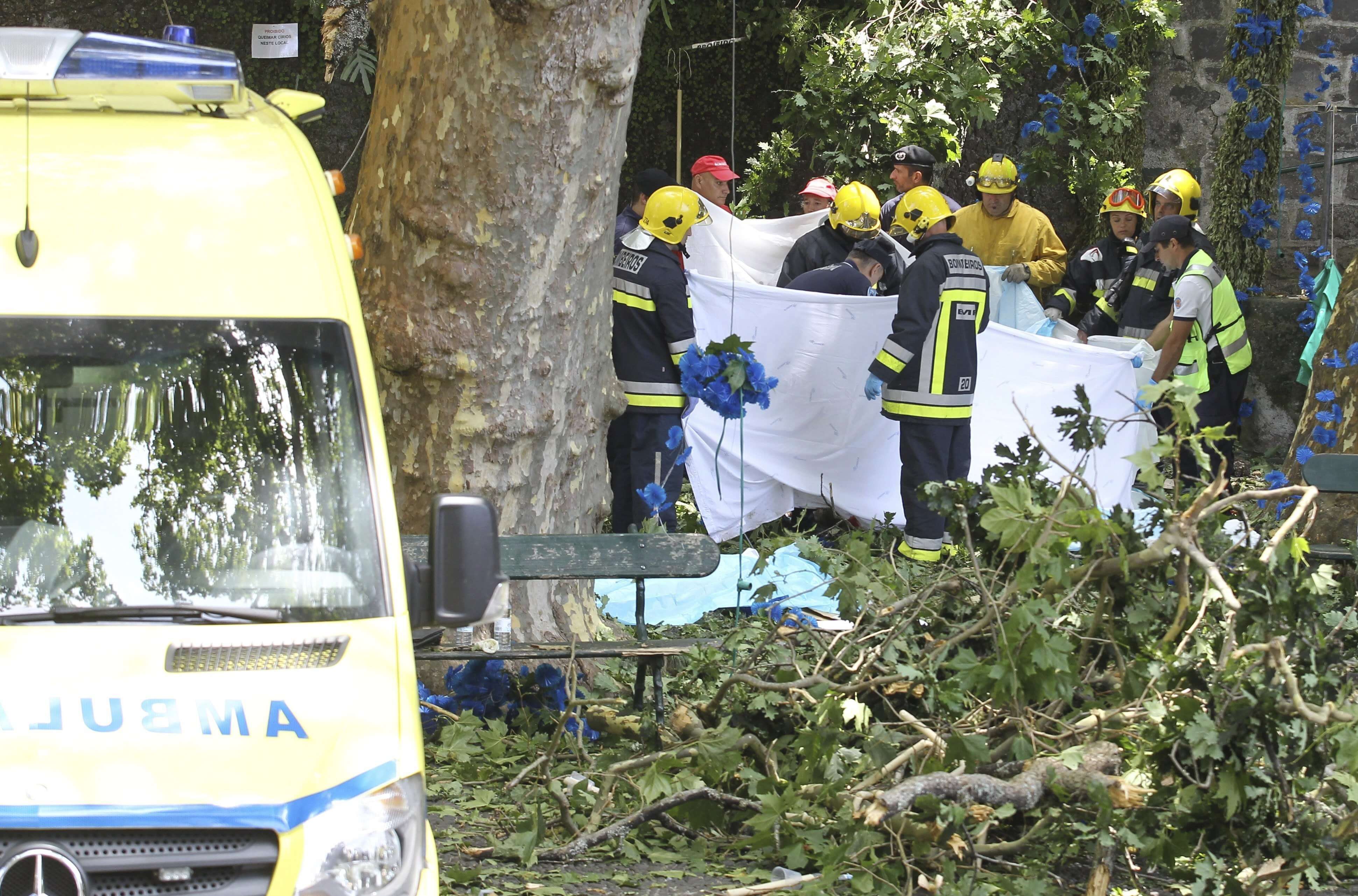 Un árbol centenario cae sobre procesión en Monte, Portugal