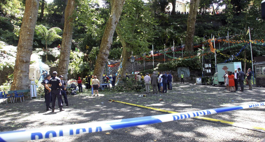 Un árbol centenario caer sobre devotos en Monte, Portugal 