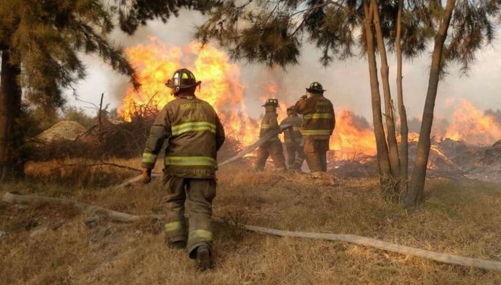bomberos ayudan a sofocar un incendio forestal