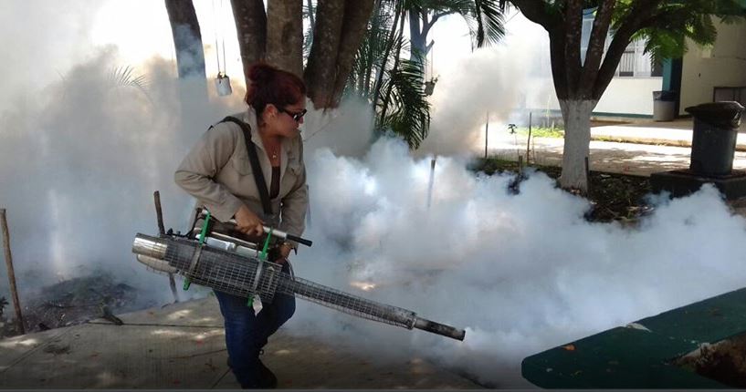 campeche salud mosquito dengue zika chikungunya
