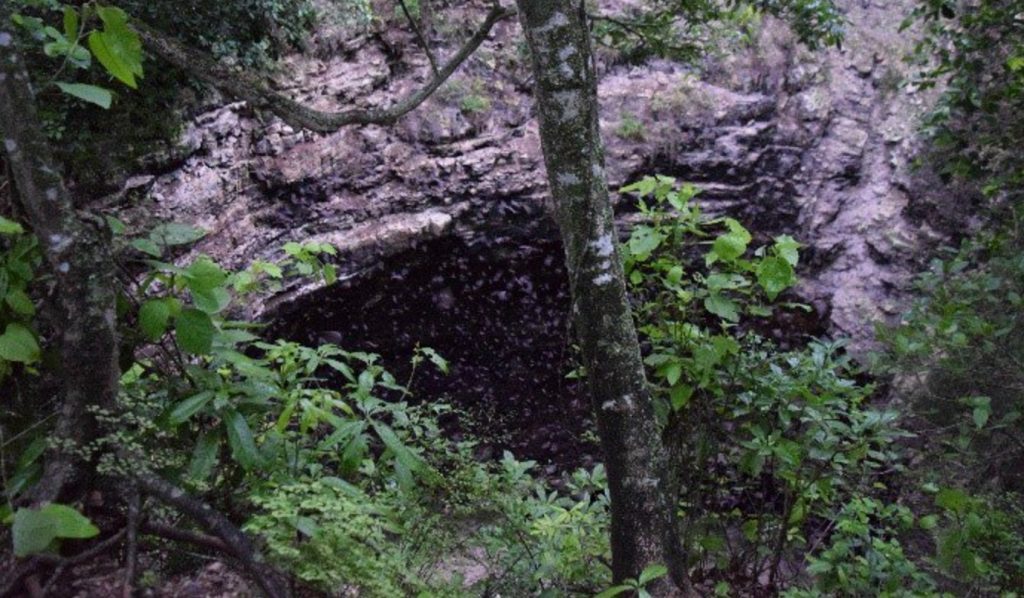 autoridades regularan acciones preservar el volcan murcielagos calakmul