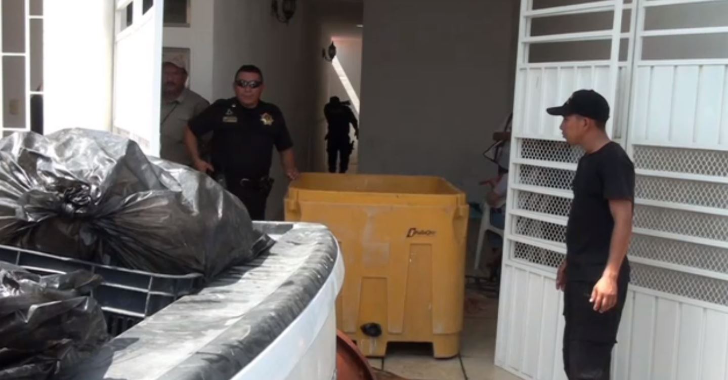 Decomisan más de 3 toneladas de pulpo en Campeche