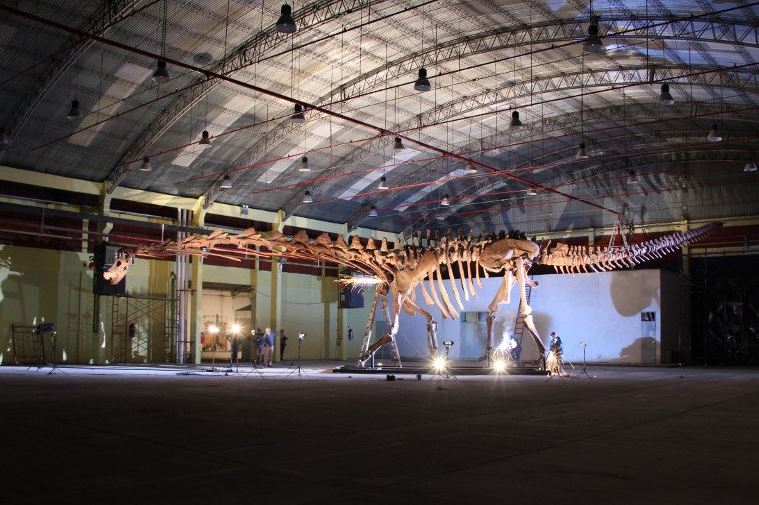 Dinosaurio más grande del mundo ya tiene nombre, se llama Patagotitán