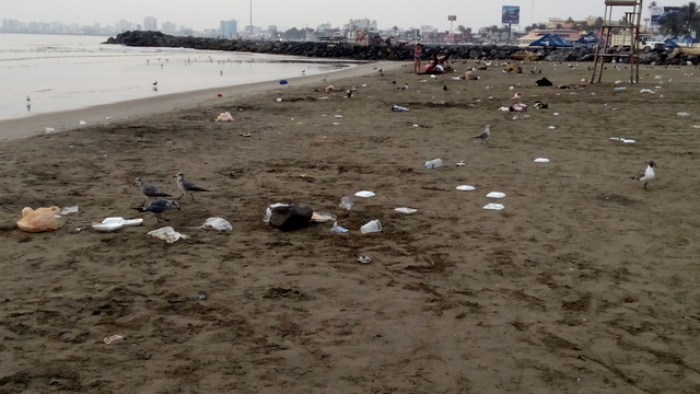 Drones monitorearán playas mexicanas para clasificar residuos. (Conacyt Prensa)