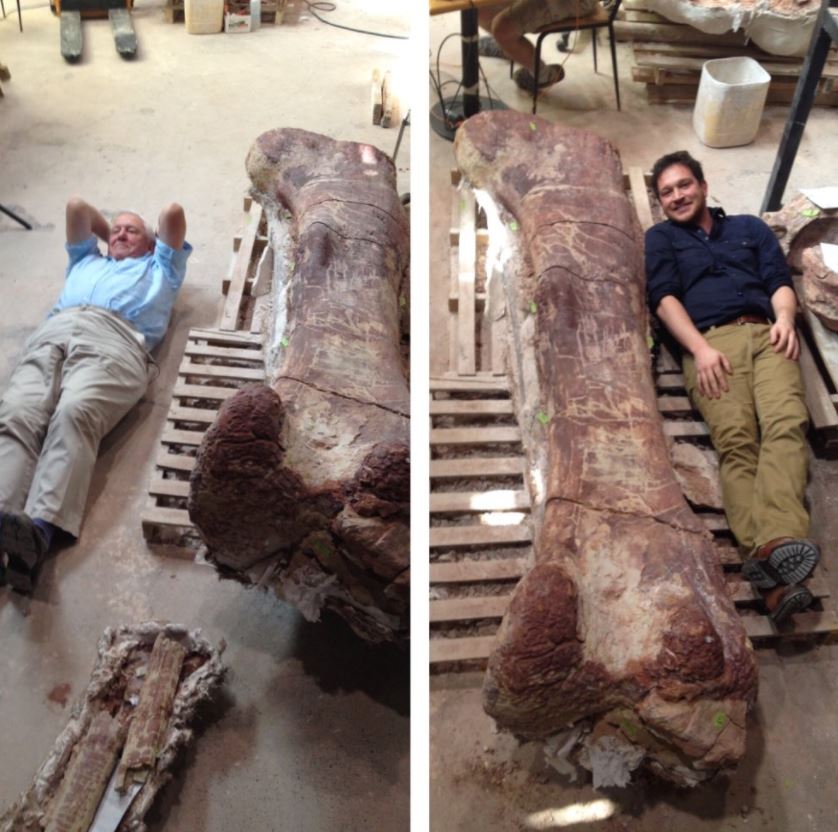 Dinosaurio más grande del mundo ya tiene nombre, se llama Patagotitán
