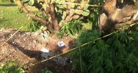 Hallan siete cuerpos en cuatro fosas clandestinas en Zacatecas