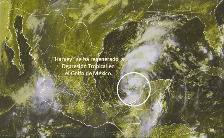 harvey se reorganiza como depresion tropical en el golfo