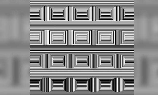 ¿Cuántos círculos se esconden en esta imagen de rompecabezas?
