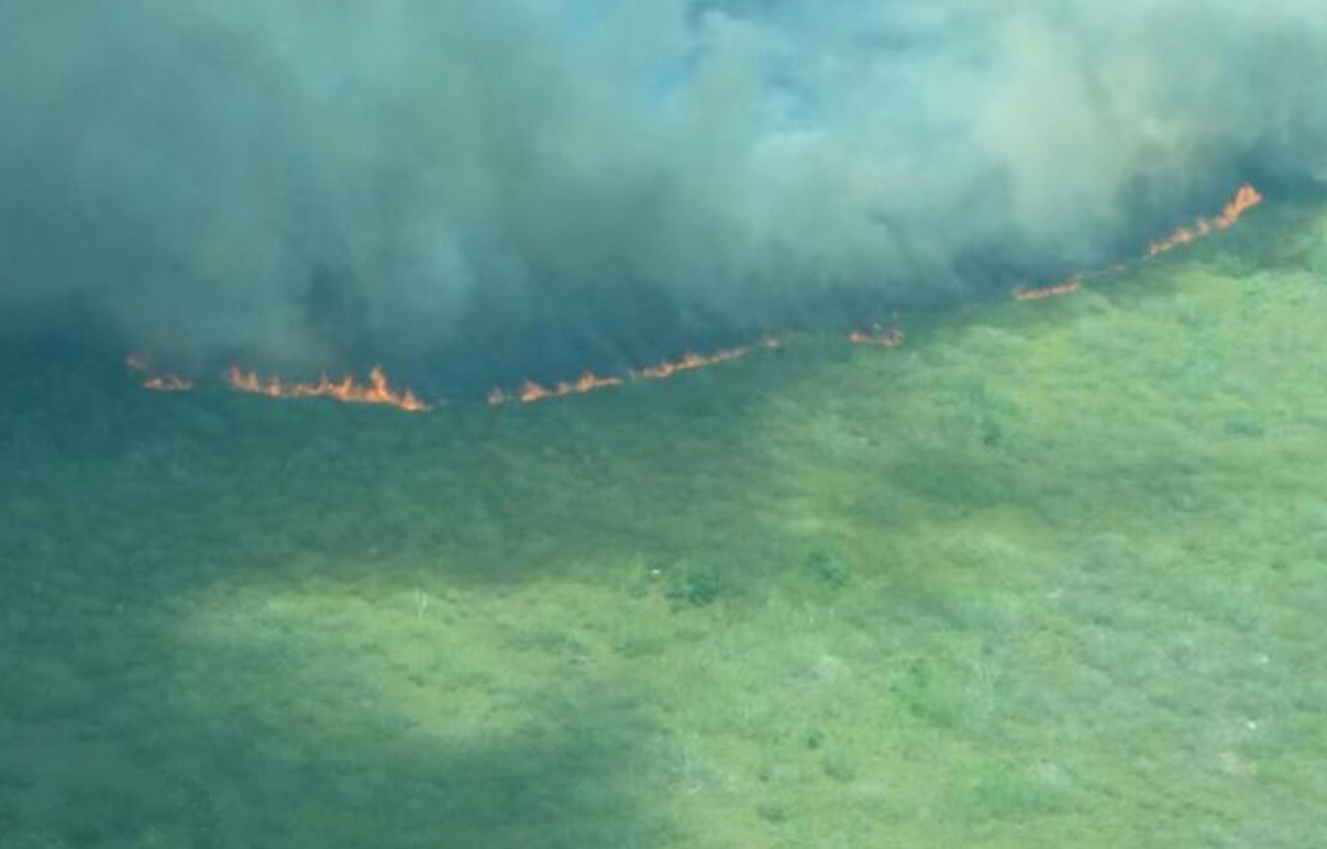 incendio consume mas 300 hectareas yucatan