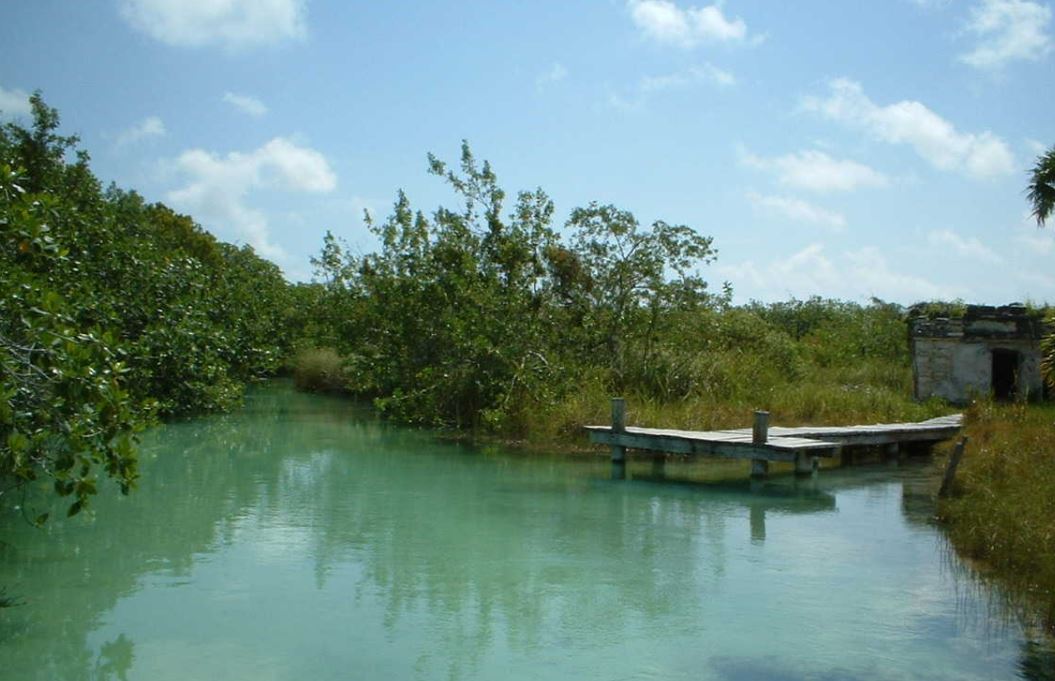 Autoridades de Yucatán rehabilitan 700 hectáreas de manglares